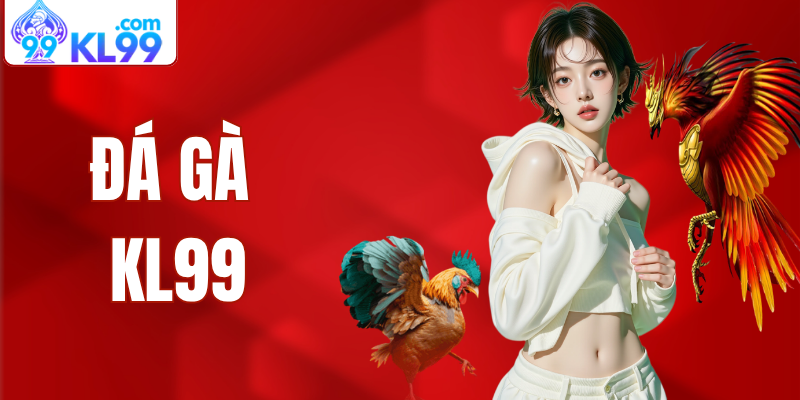 đá gà kl99